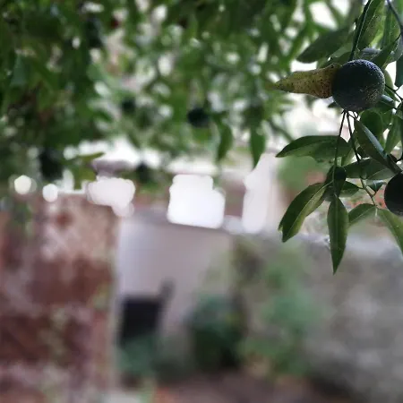 Bella Παλέρμο