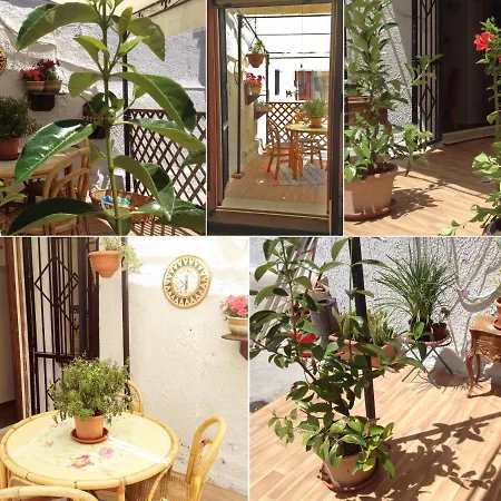 Apartment Le Spezie Dei Florio Vucciria Wifi Free Palermo