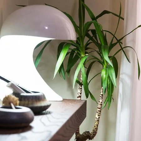 Al Massimo By Lago Design