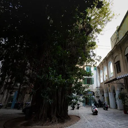 Homestay Amuni Palermo