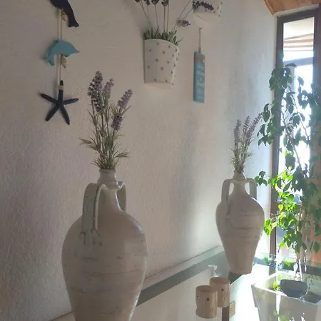 Eliana Villa Palermo