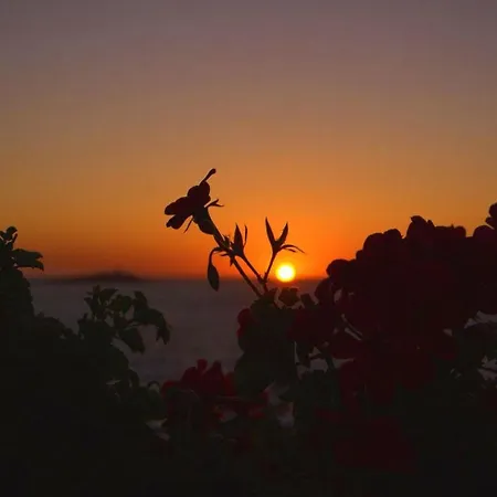 Ξενοδοχείο Bellevue Del Golfo &