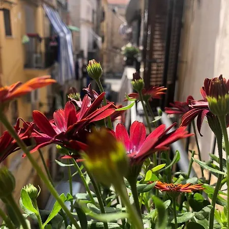 Bed & Breakfast Nonno Peppe