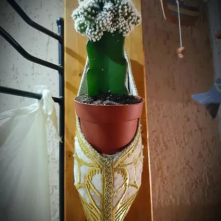 Casavacanze Tuttapposto Palermo