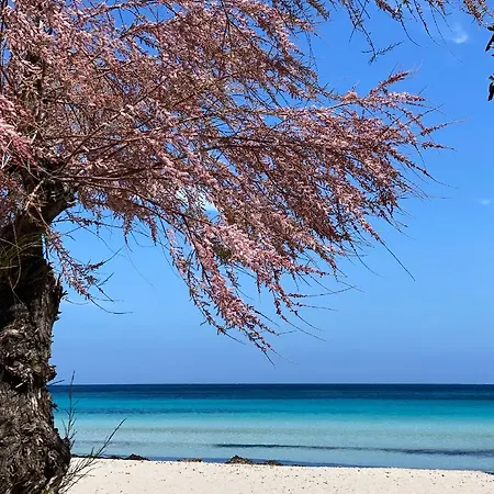 Masetta - Luxury 4* Παλέρμο