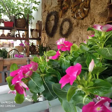Holiday home I Leoni Di Sicilia Palermo