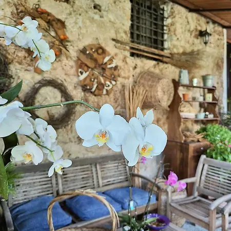 Holiday home I Leoni Di Sicilia *