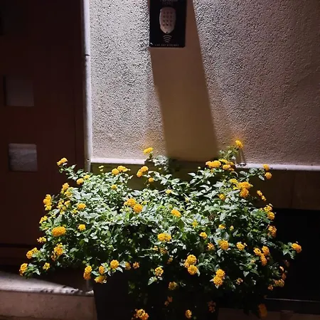San Francesco L.t. Bed & Breakfast 2*
