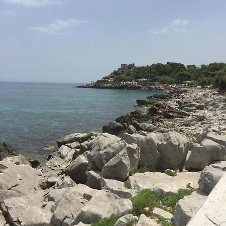 Ashur Mondello 2*