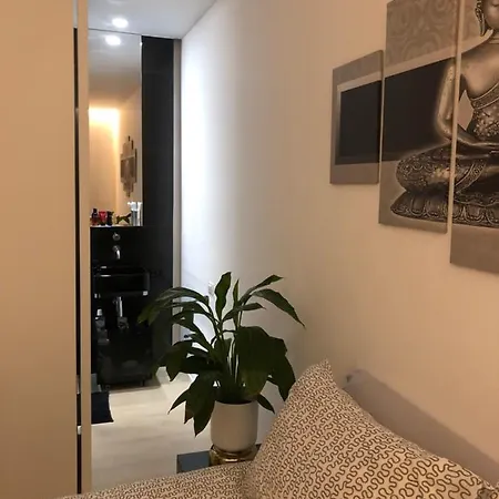 Lux In Historical Center Of Apartment