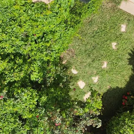 Pindaro Apartment Palermo