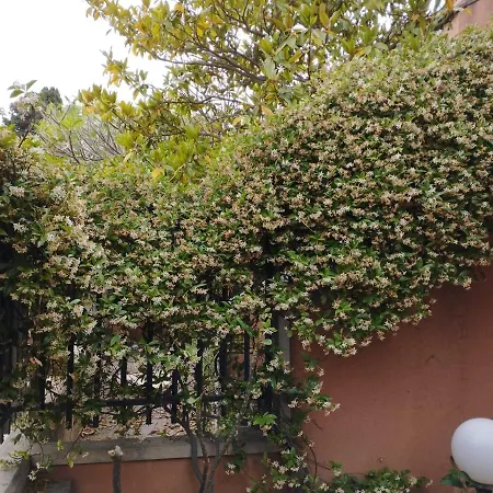 Casabella