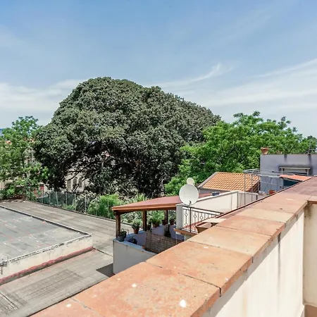 Botanical Gardens And Giulia Lovely Apartment Palermo
