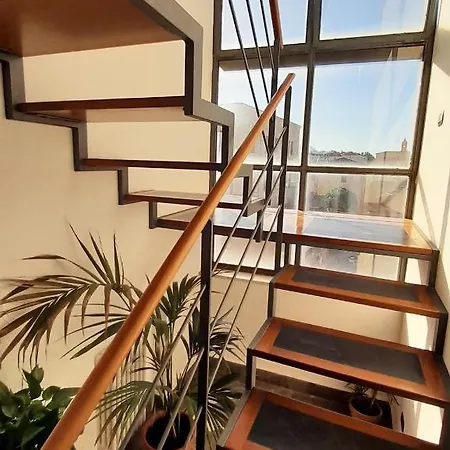 Terrace With View Attic In Old Town Ballarhome 팔레르모