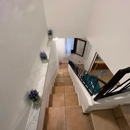 La Casetta Di Sci Sci Apartament *