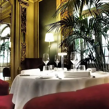 Grand Et Des Palmes Hotell