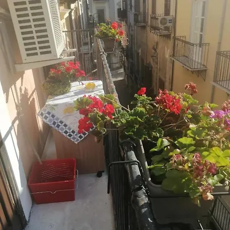 Casa Ligia Aurora * Palermo