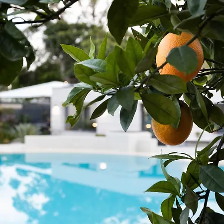 Masetta - Luxury Affittacamere 4*