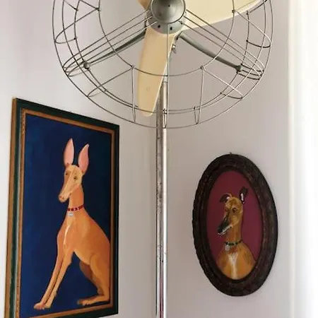 Loft Tra Le Stelle E I Pesci. Palermo