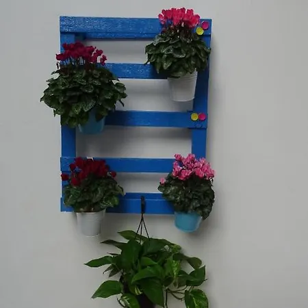 Il Giardino Segreto