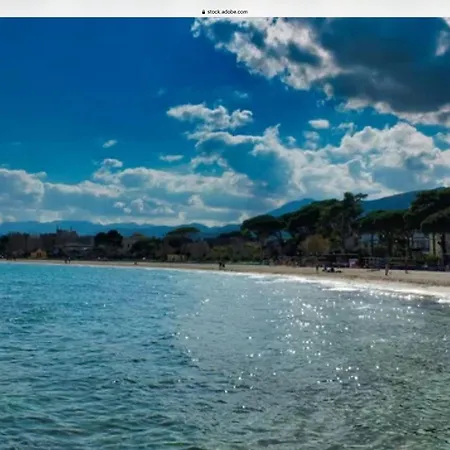 Ashur Mondello