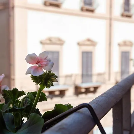 Cuore Di