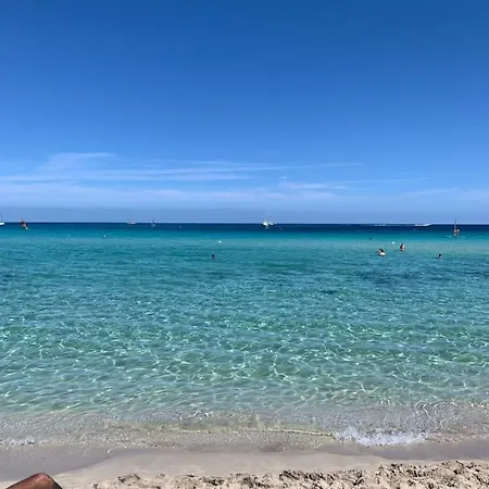 Daziarosetta * Palermo