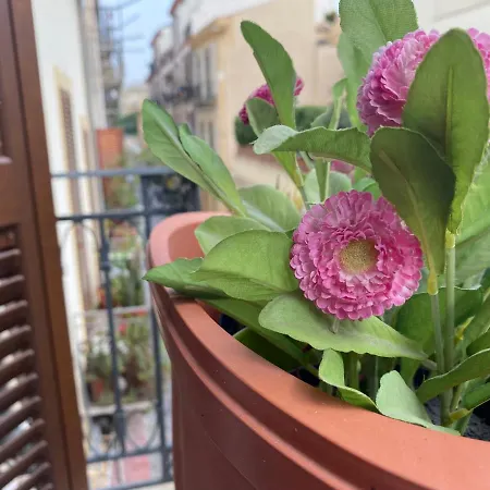 Casa Vetriera Appartamento *