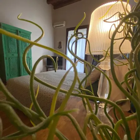 Apartment Casa Vetriera *
