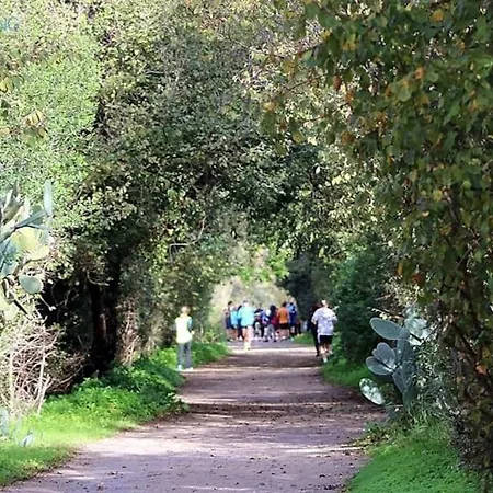 And Private Bathroom Between Mondello Beach And Old Town! Free Park!