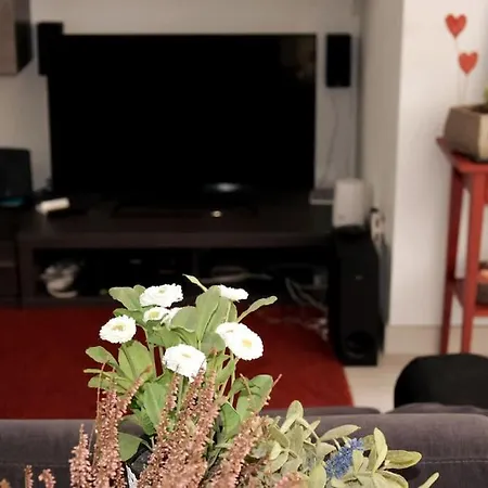 Energy Apartment Palermo