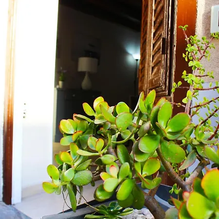 Gdm Appartement Palerme