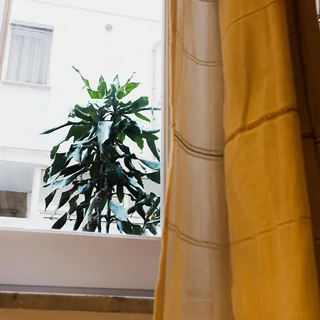 Apartamento Casa Madi