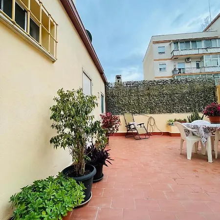 Olivuzza With Terrace Apartment