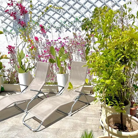 Affittacamere Gagini House&terrace *