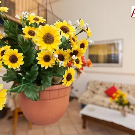 Apartment Charming Mezzanine Flat In Centre *