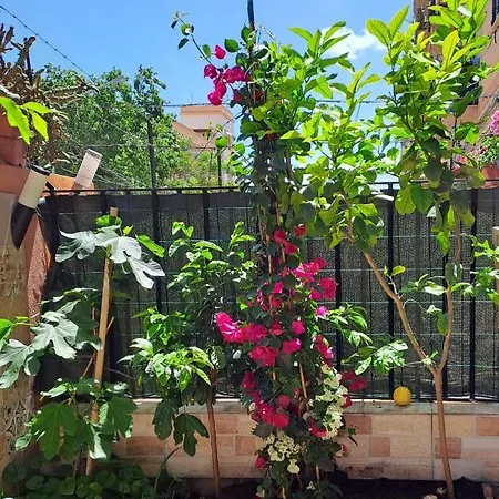 Lilibet Apartamento Palermo