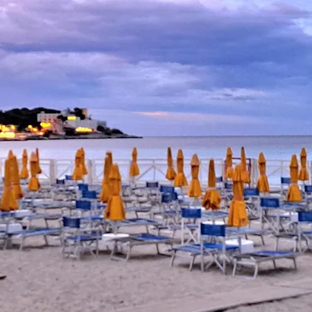 Mondello Manick Mare *