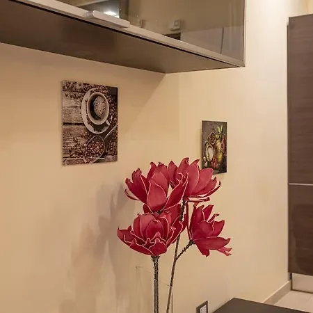 Apartment Domus Ameliae Cozy And Charming Apt At Cathedral *