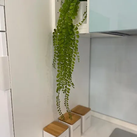Sapirimari, Casa A Pochi Passi Dalla Apartment