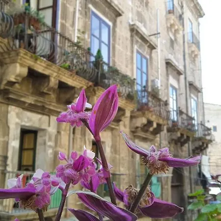 Casa vacanze Arco Cutò *