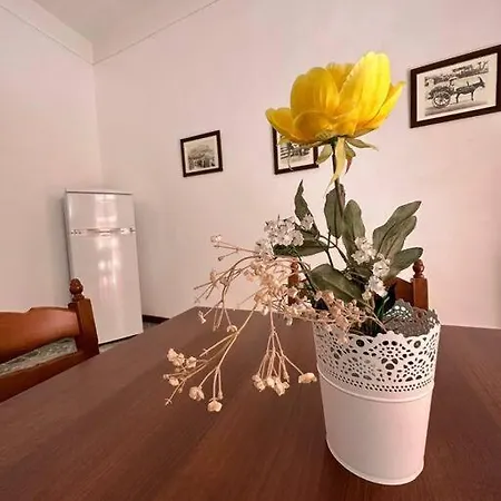 Passiu House Apartment *