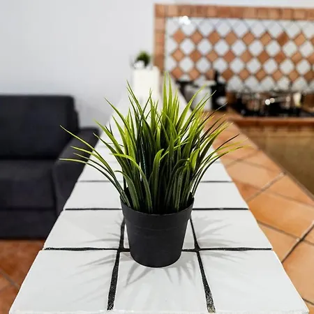 Rf & Apartment Palermo