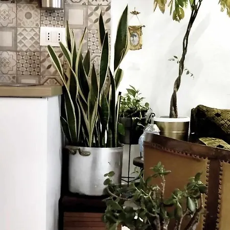Apartment Bucrani Studio. Piccolo Loft Nel Centro Storico Di Palermo