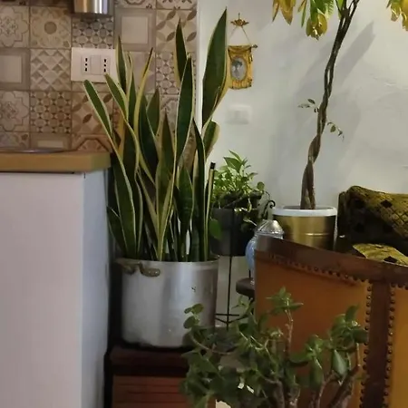 Bucrani Studio. Piccolo Loft Nel Centro Storico Di Apartment Palermo