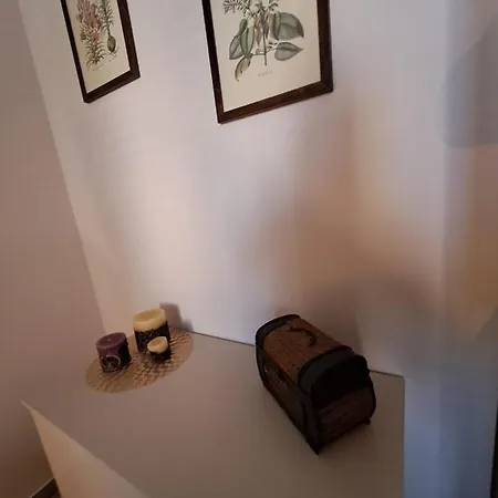 Ammirata Apartment *