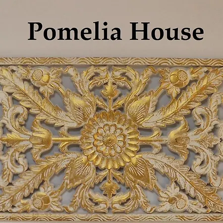 Apartment Pomelia House Palermo
