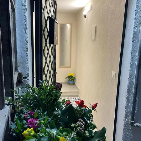 Apartamento Maro Loft Al Capo *