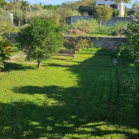 Villla Chiazzese Palermo