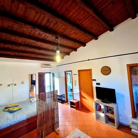 Wood House - * Palermo